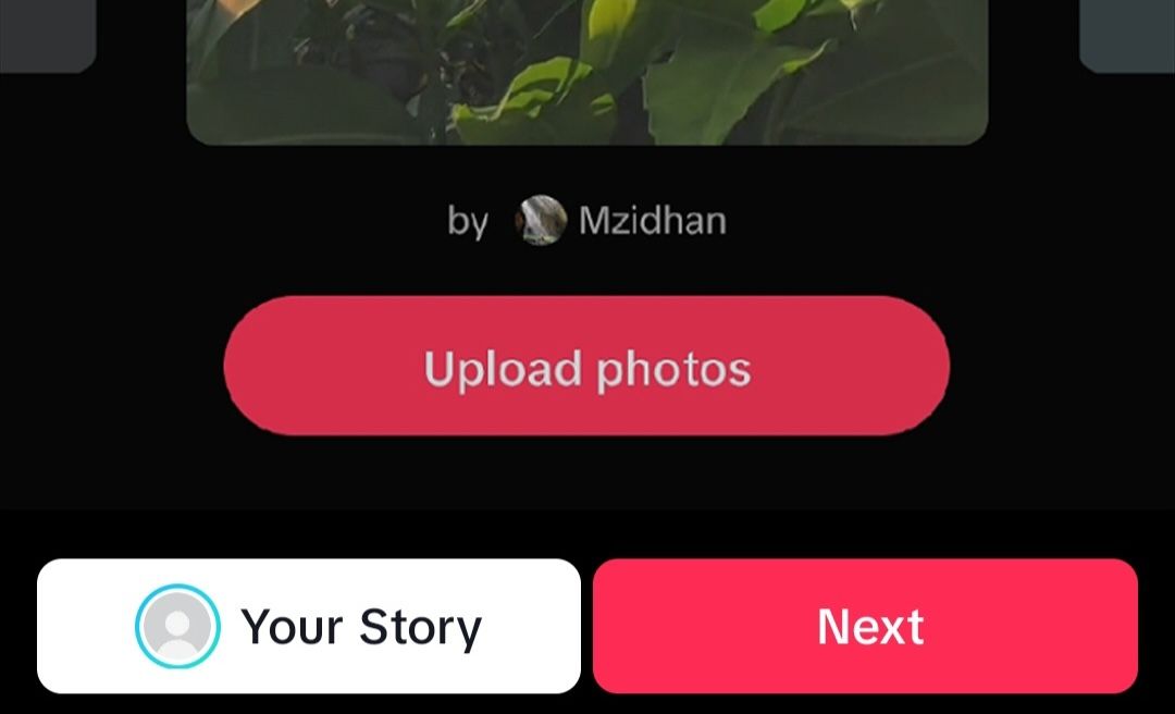 tiktok image