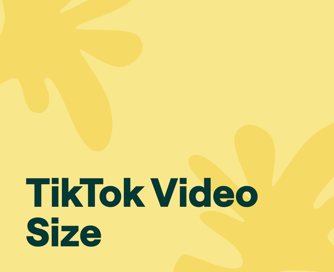 TikTok Video Size