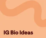 Instagram bio ideas