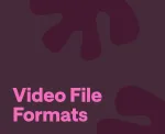 video formats