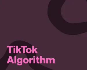 How Does the TikTok Algorithm Work? A Complete Guide